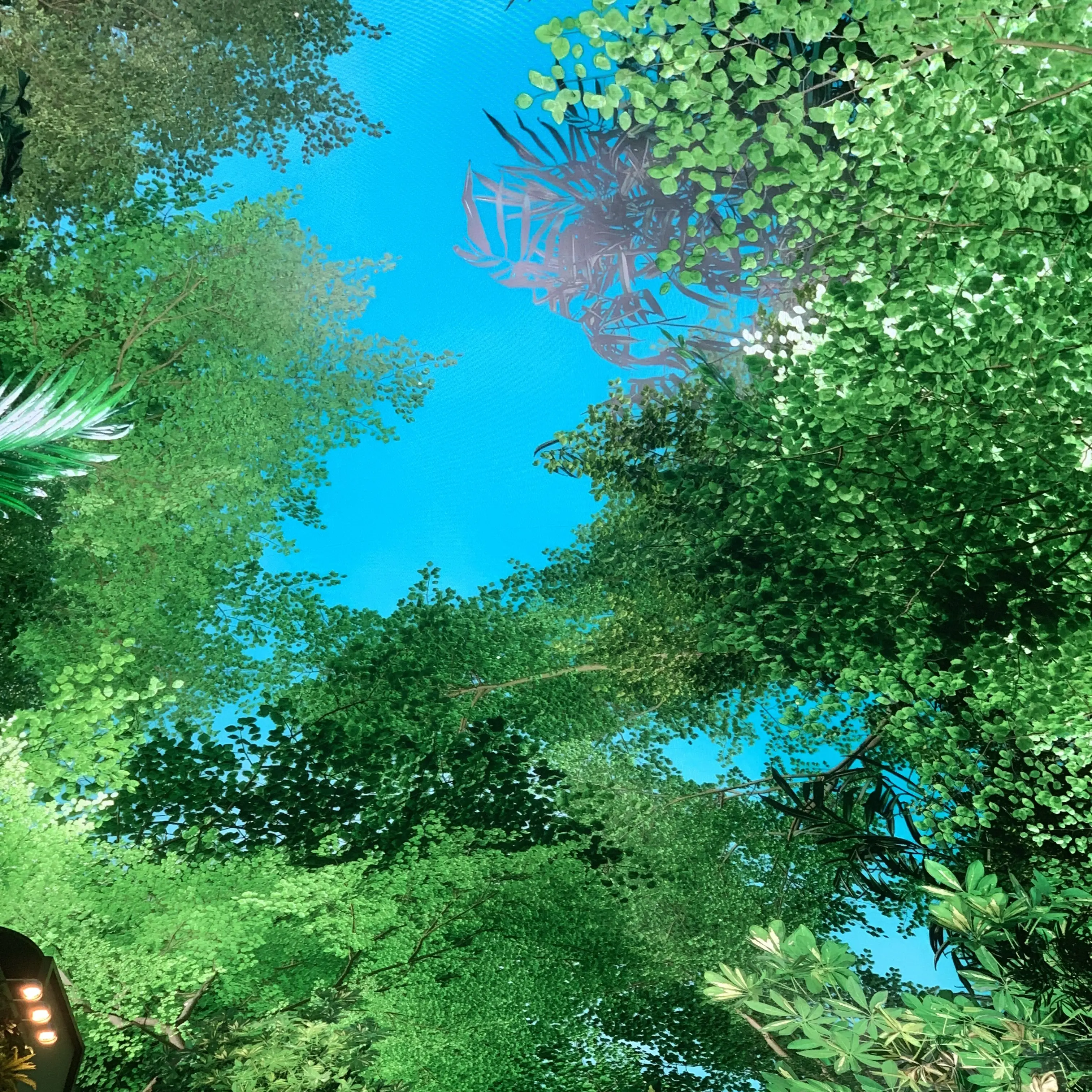 SOYU0690의 능구렁이