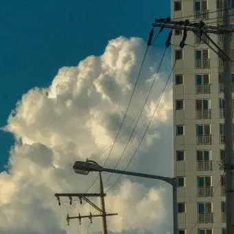 Profile image of 서라더