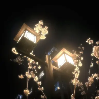 Profile image of 정 공룡