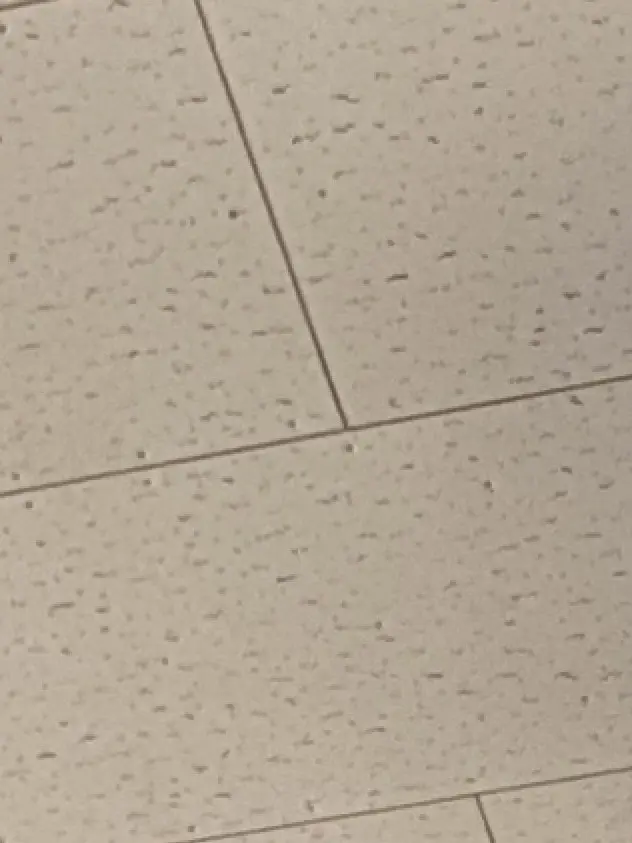 Kurosann의 ゲホッゲホッ…って、えぇぇ！？