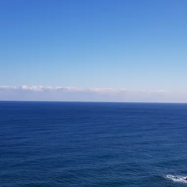 Profile image of 김승민