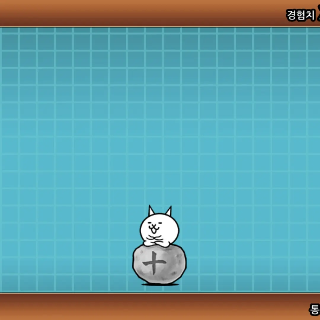 FeebleMeno8654의 10년이면 고양이