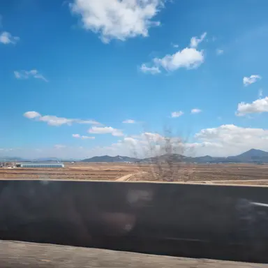 Profile image of 김리아