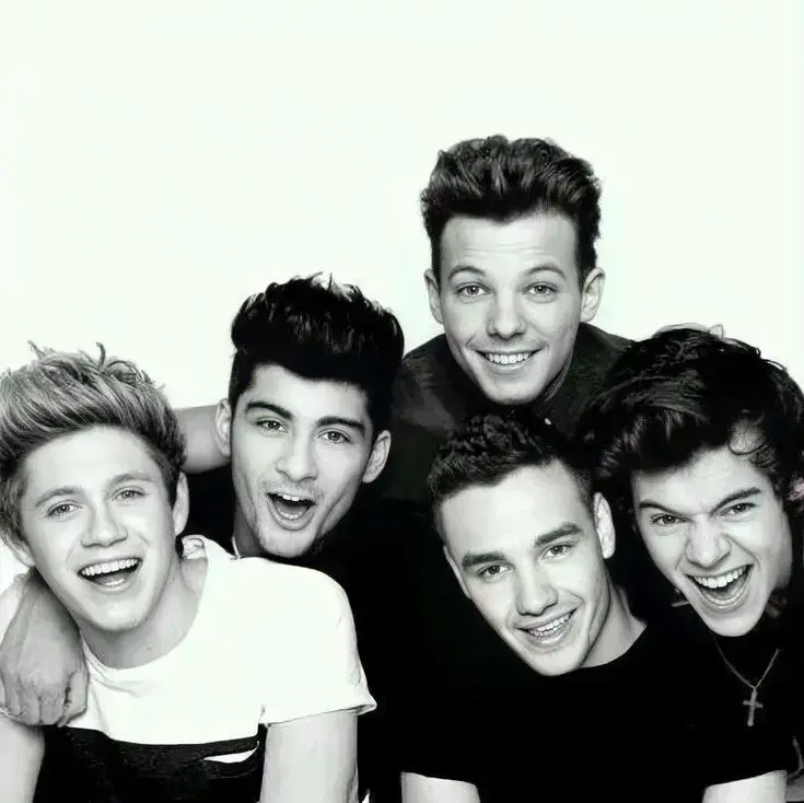 GiddySnake7417의 One Direction