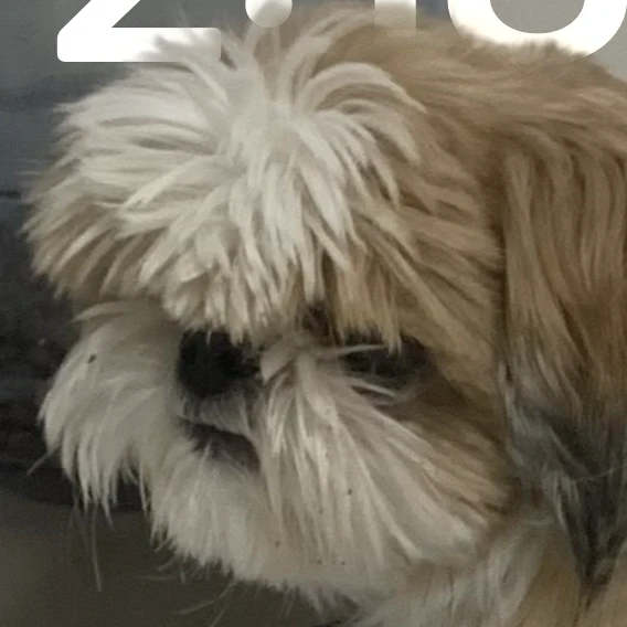 유기사