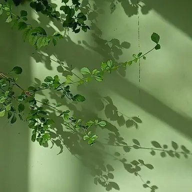 Profile image of 정공룡