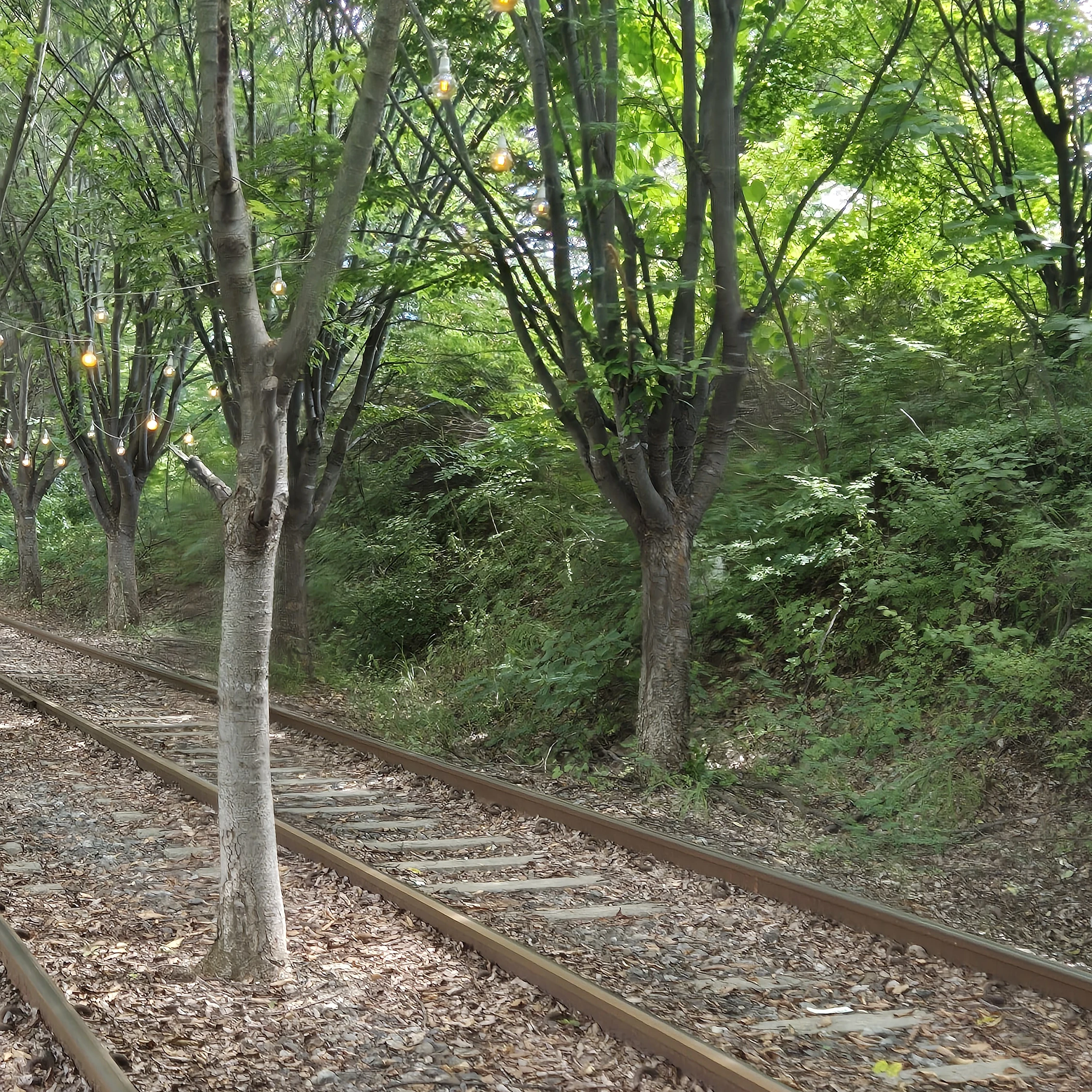 로드