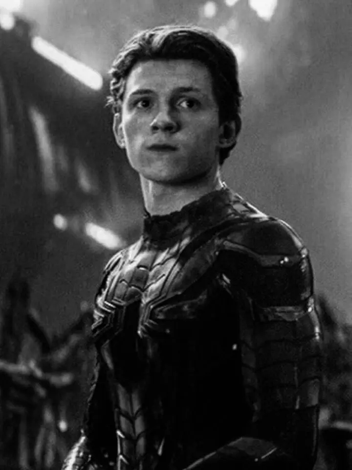 whostoriii의 Peter Parker
