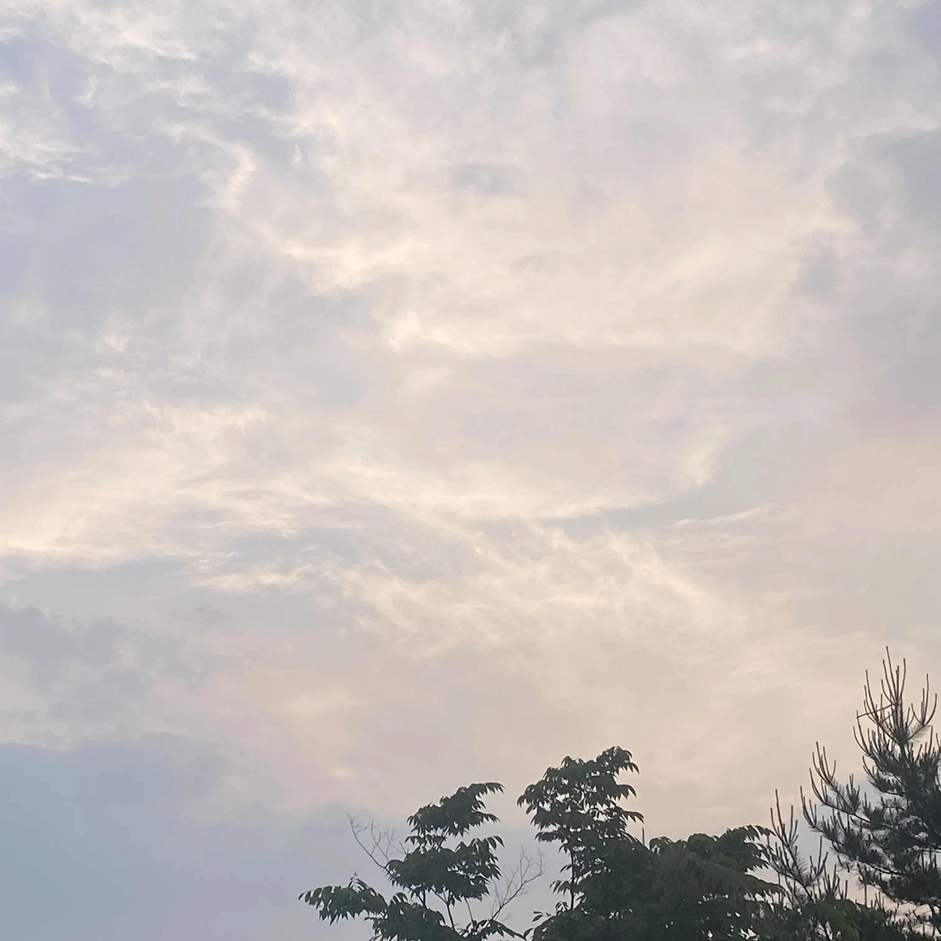 RipeCity9589의 나의 보넥도 남편들,여우년