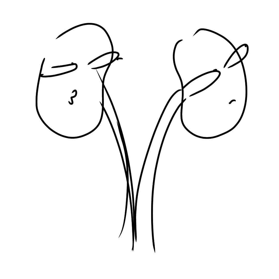신장