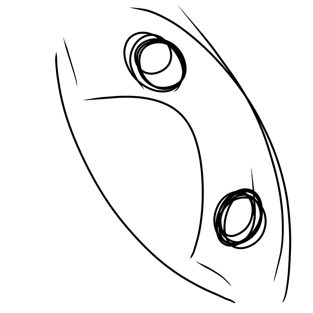 근육