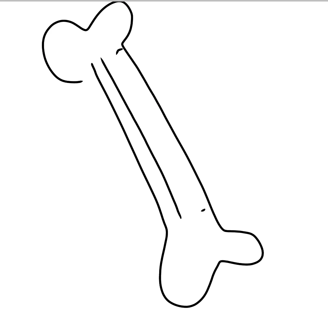 뼈