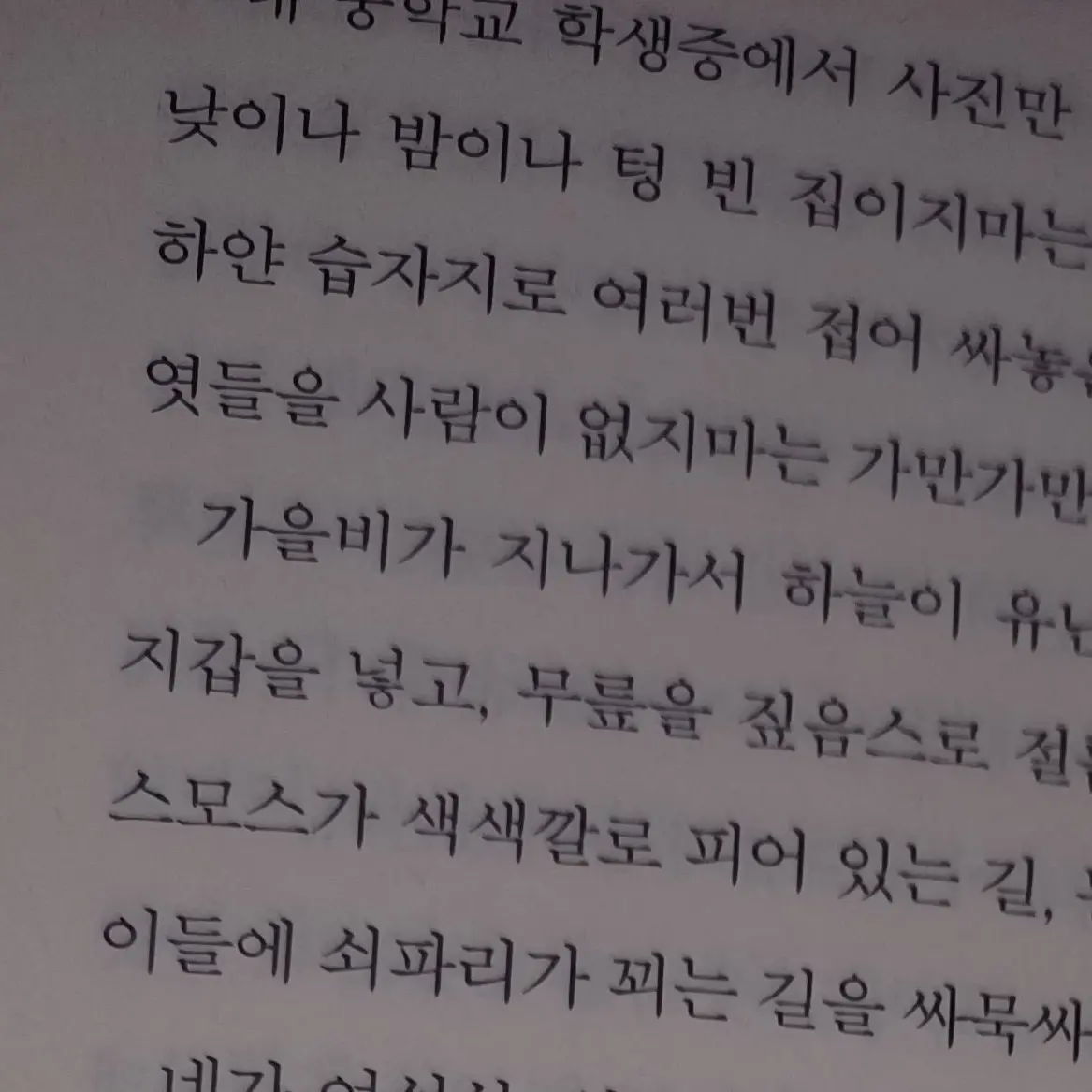 ZhugeLiangHatesmMe의 ¤