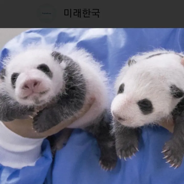 SnowyFern5873의 어떤 방에 가쳐있는데 급똥?!