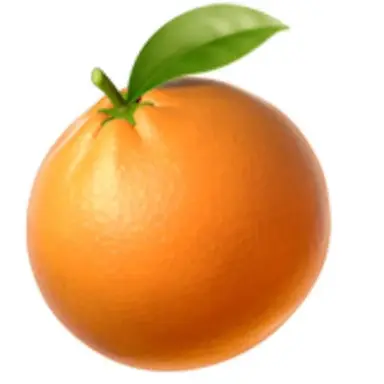 Profile image of スングァン