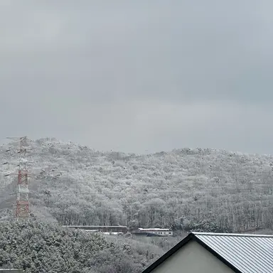 Profile image of 윈터