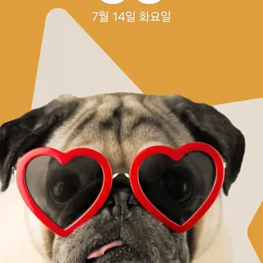 Profile image of 여우