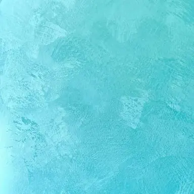 Profile image of アロハ