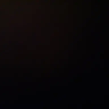 Profile image of 서태양