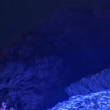 Profile image of キモオタ