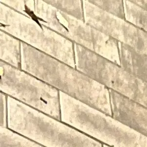 CherryChair7341의 심재윤