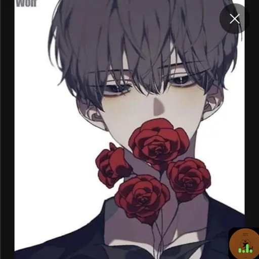 IronicBrick2719의 유도혁