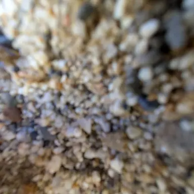 Profile image of クロム