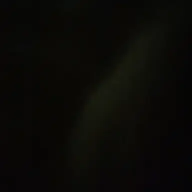 Profile image of 송은석