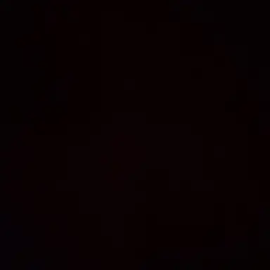 Profile image of 카라시 하토카
