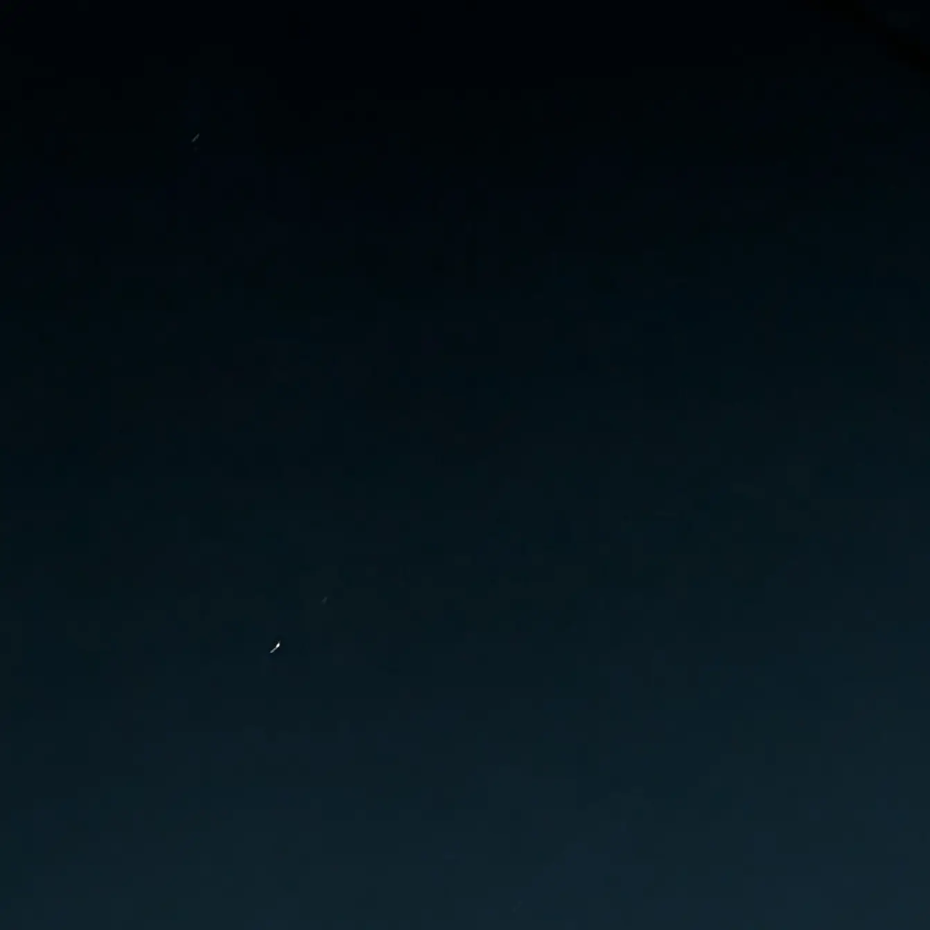 PlacidPetal4596의 NOIRと喧嘩