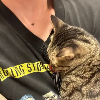 Profile image of 大介