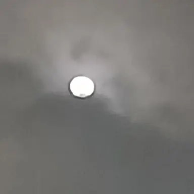 Profile image of 성한빈