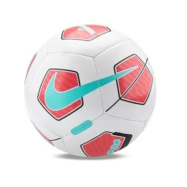 tjswnd01의 축구선수 일생기