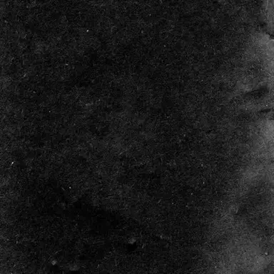 Profile image of 大王