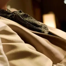Profile image of 元貴