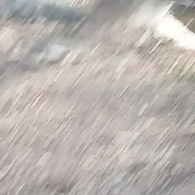 Profile image of 김준희