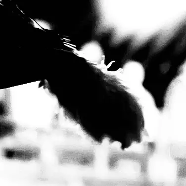 Leexp__의 성윤겸
