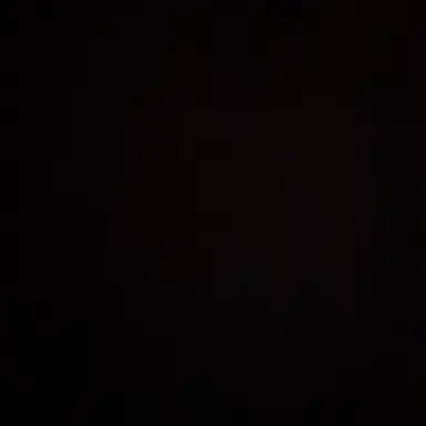Profile image of 매화