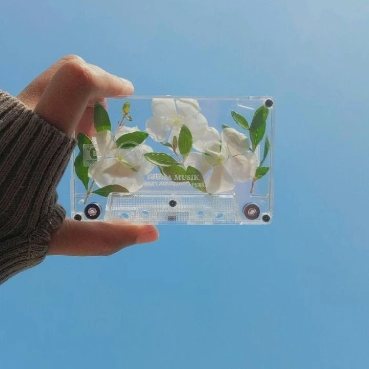 파크모