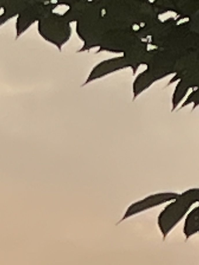“ 야; 너 미쳤어? ” 대표 이미지