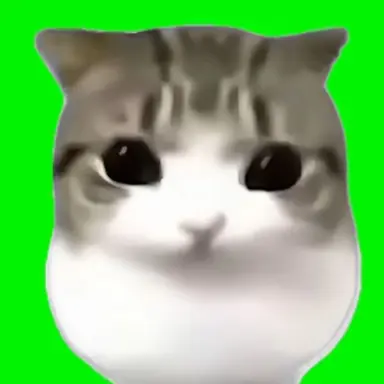 Profile image of 여우