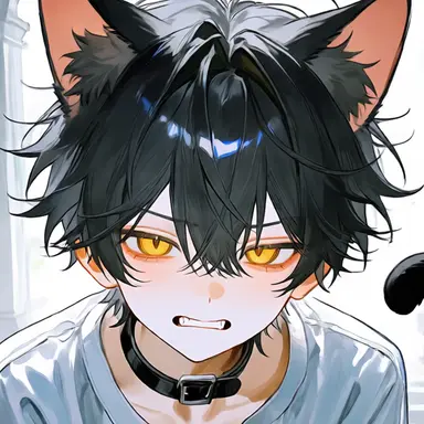 Profile image of ノワール