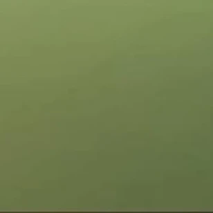 홍진아