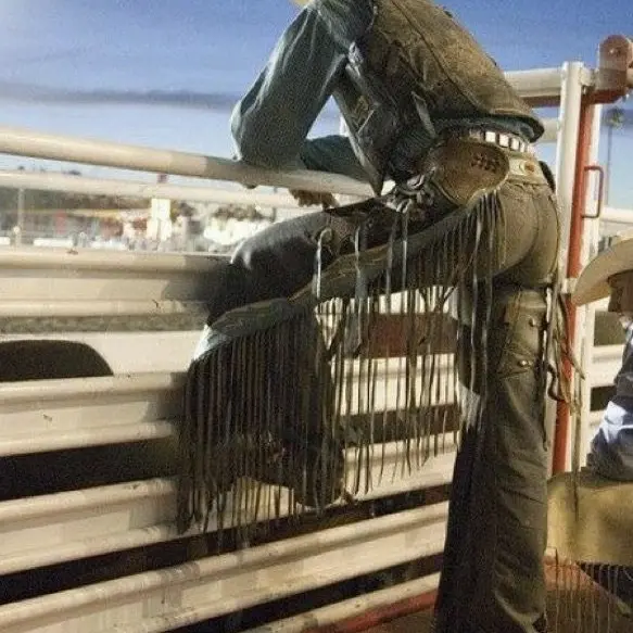SkinnyBus9845의 Cowboys in love