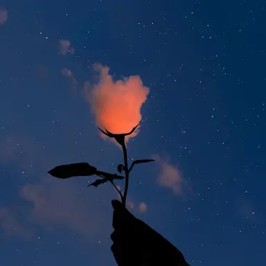 Profile image of 로맨스