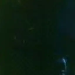 Profile image of 레안