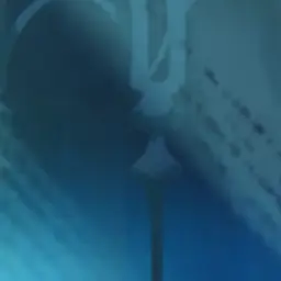 Profile image of 세인트릴리 쿠키