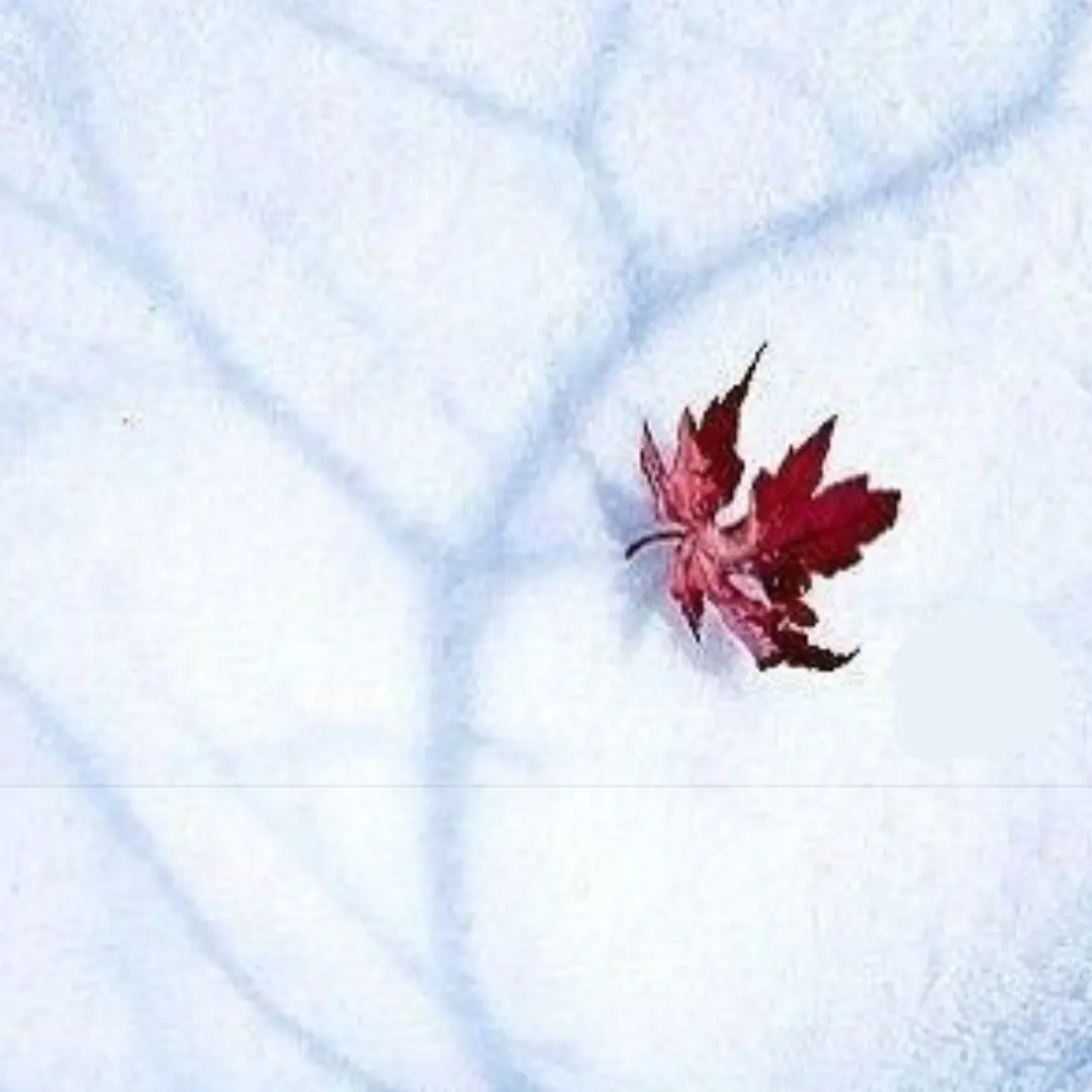 Eggron_lazy의 루이쨘