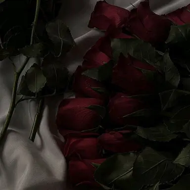 Profile image of 佐藤勝利