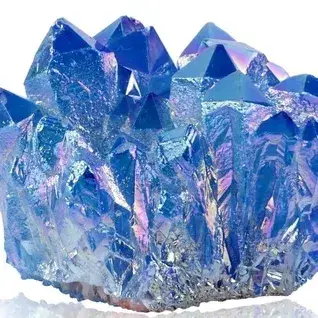 GummyDingo0852의 Animal Transformation